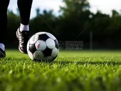 揭秘,未达标球队,逐个突破,亚博,YaBo,亚博官网,亚博体育官网,亚博体育下载,亚博APP